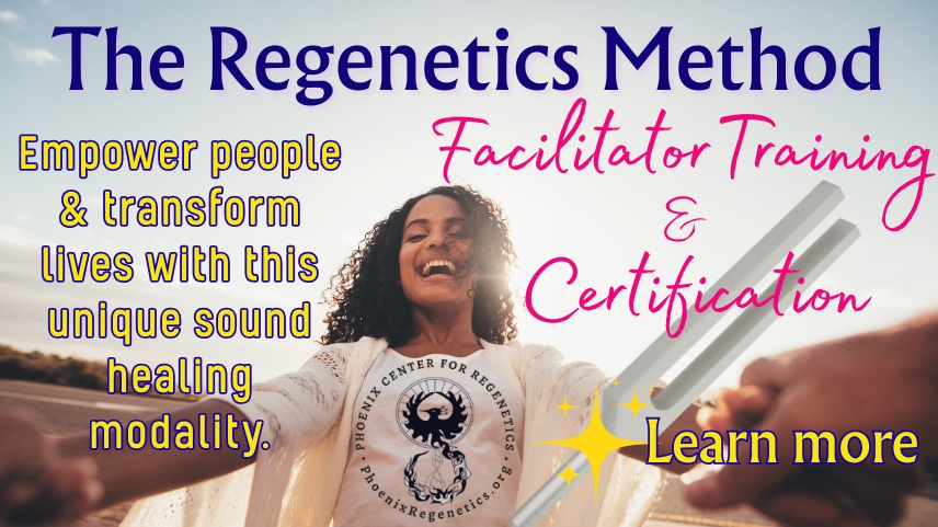 Facilitator Training & Certification