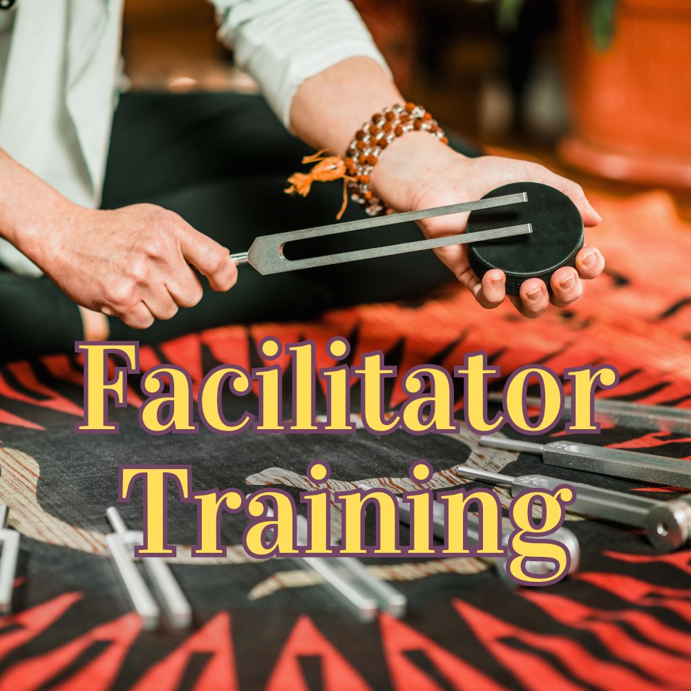 Facilitator Training