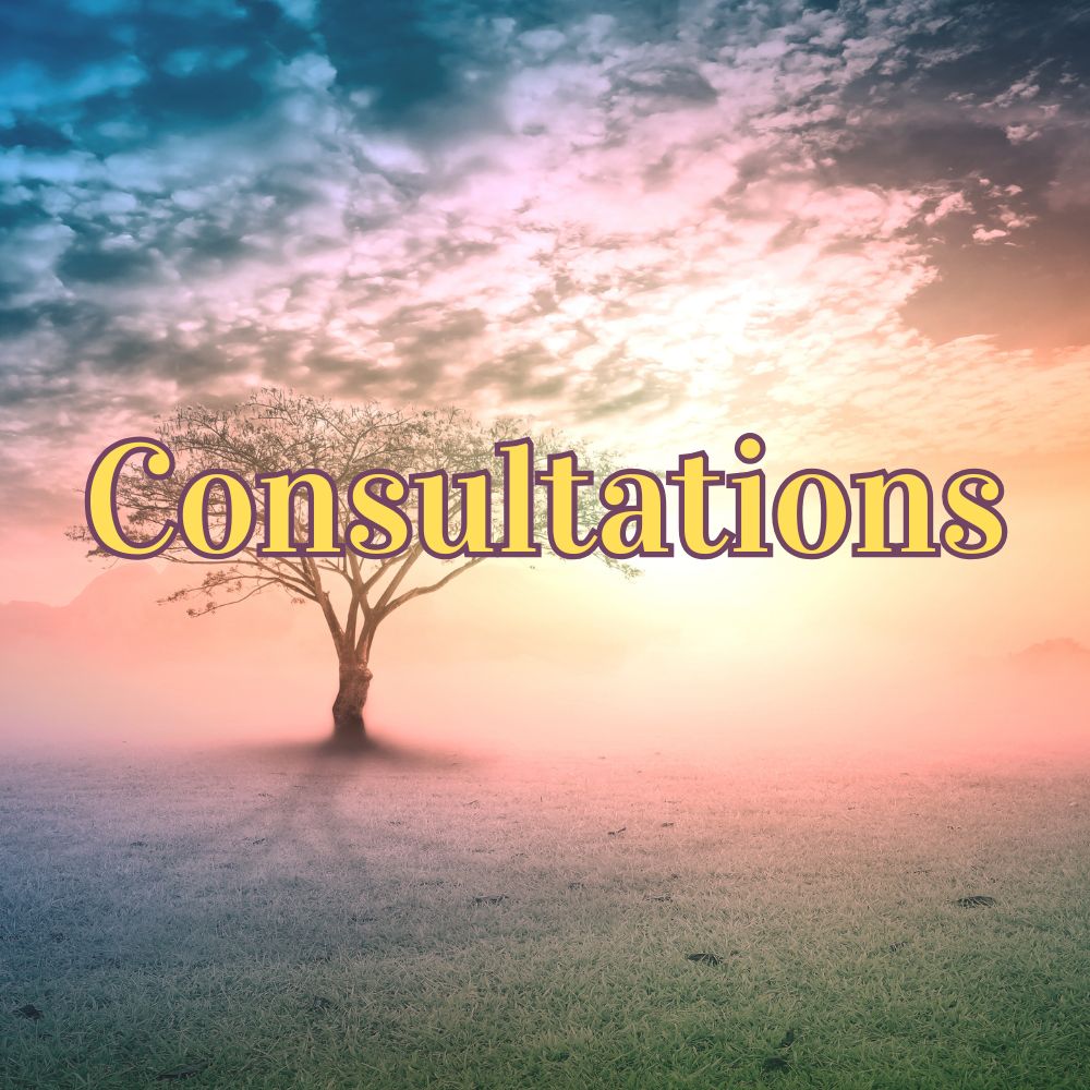 Consultations