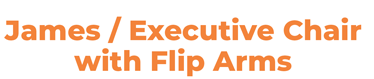 James / Executive Chair with Flip Arms