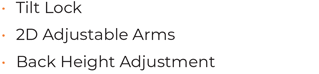 Tilt Lock 2D Adjustable Arms Back Height Adjustment