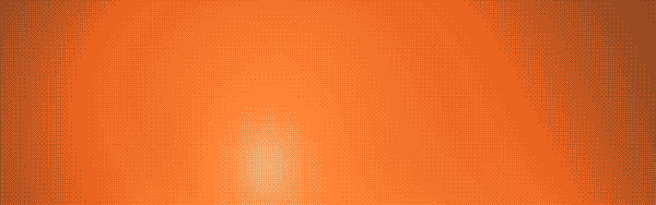 Black Friday Flash Sale