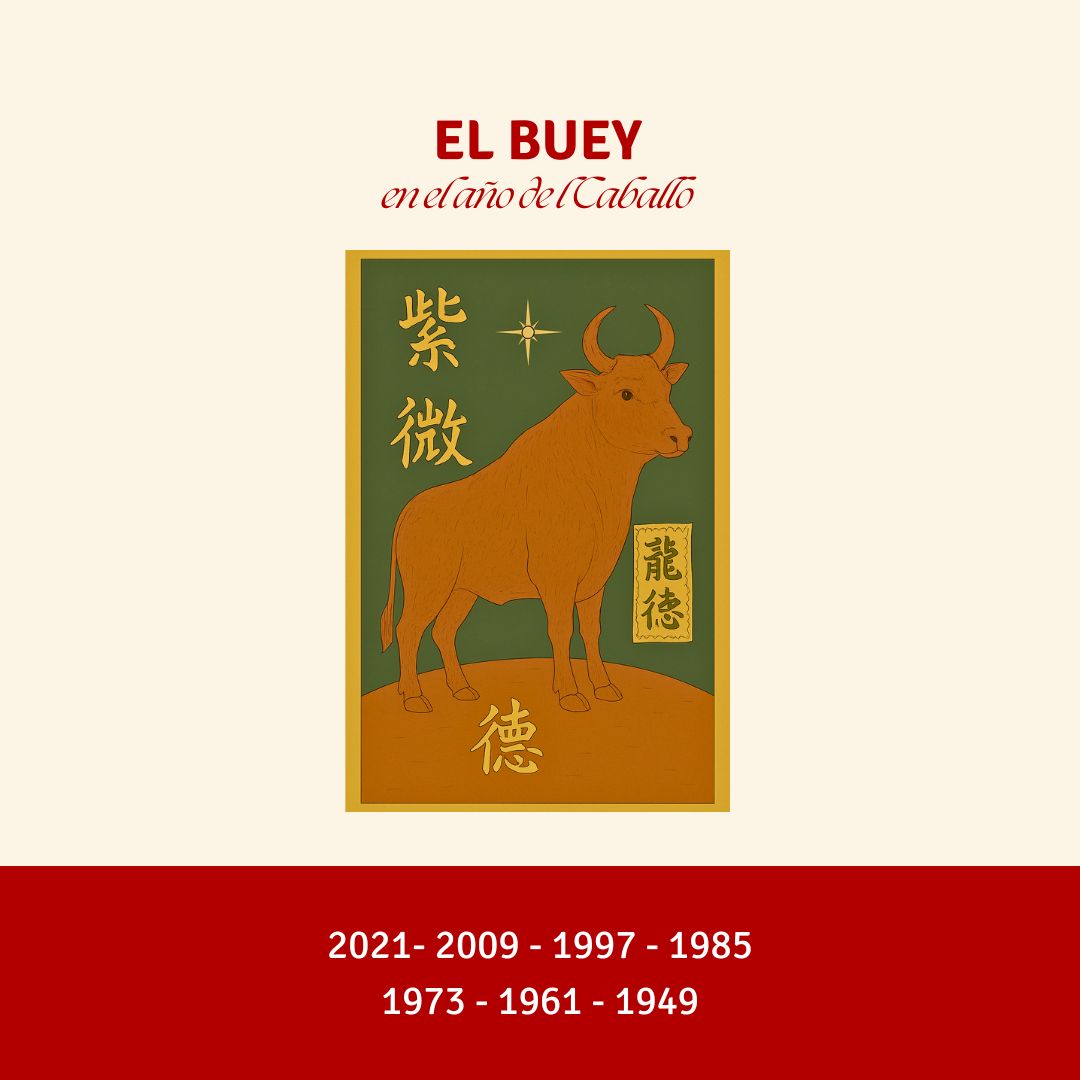 Buey