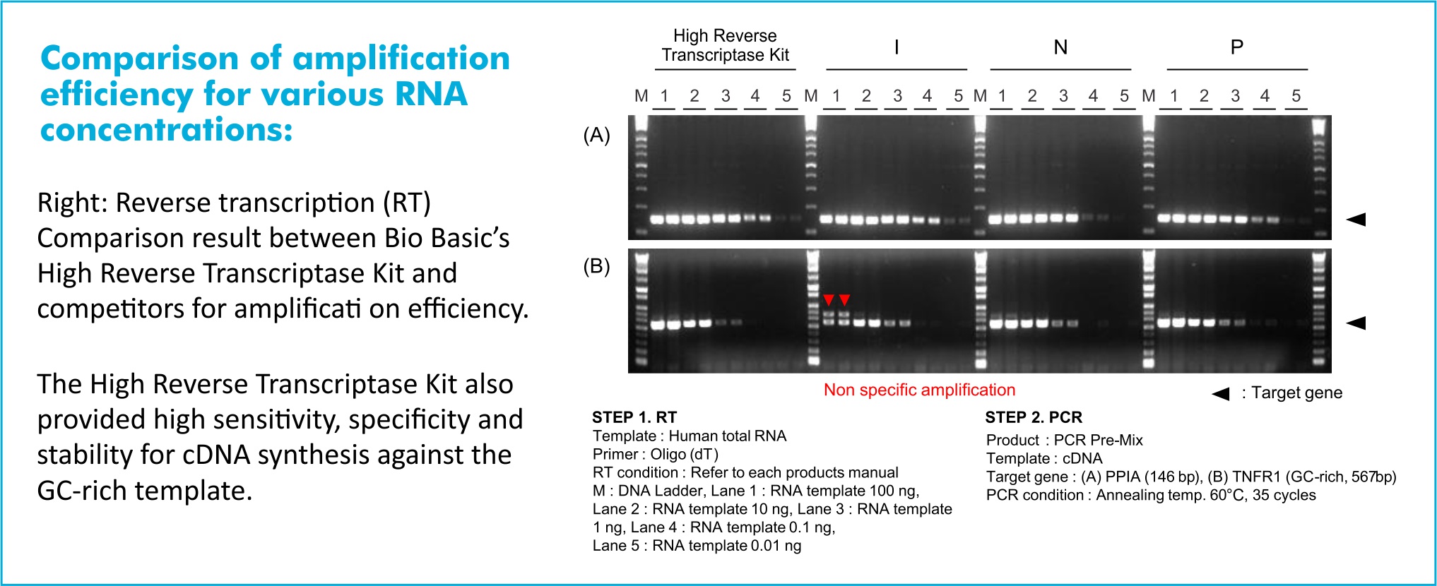 Comparison of amplification efficency for various RNA concentrations.