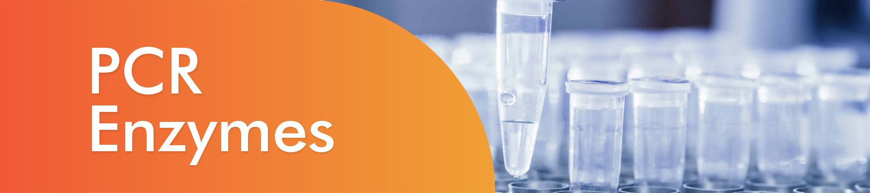 PCR Enzymes