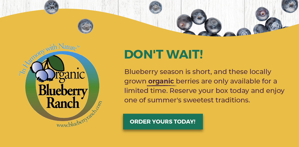 Summer Savings are heating up