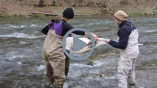 Friends of the Middle River, Giving Tuesday