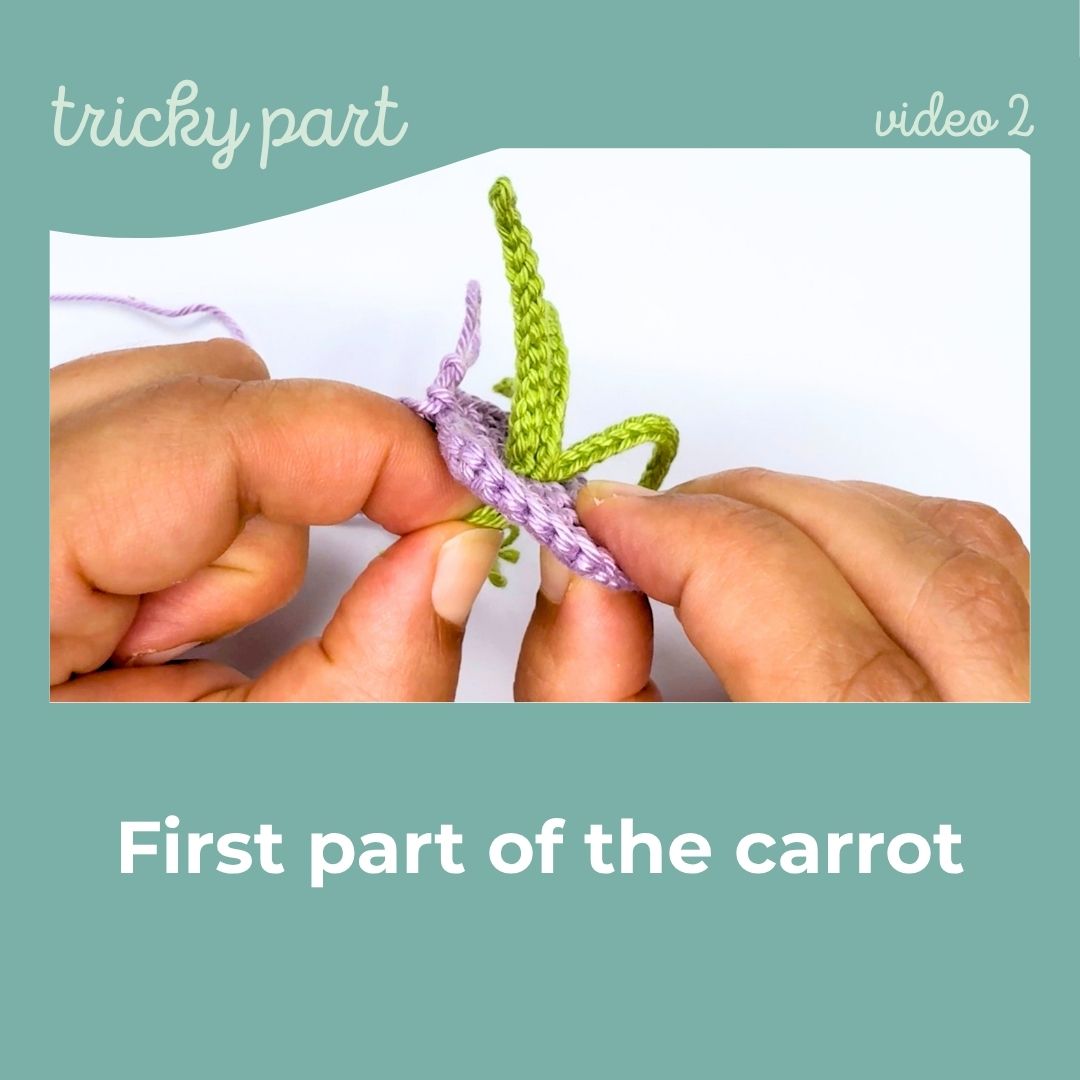 Visit page /b3-vt2-carrot