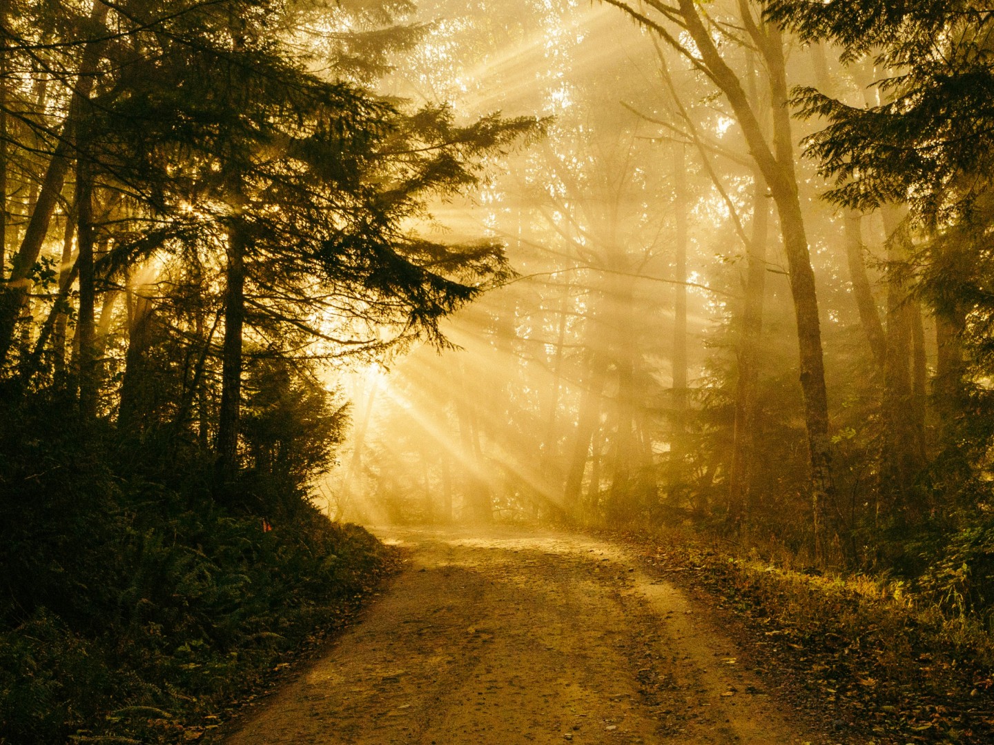 Matter's of Life and Death - Attributes of God