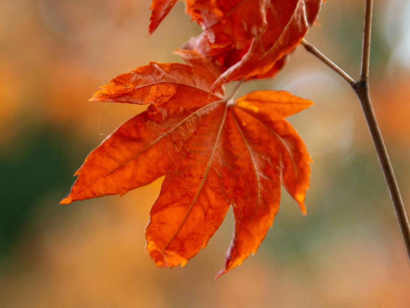 Matter's of Life and Death - Attributes of God