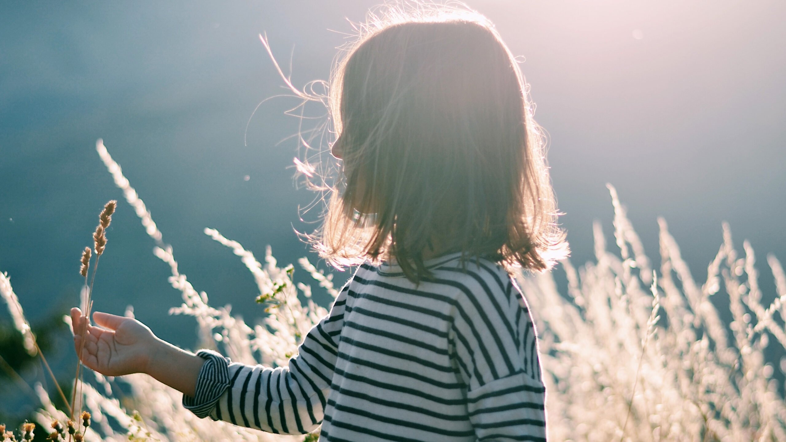 Featured Article Photo