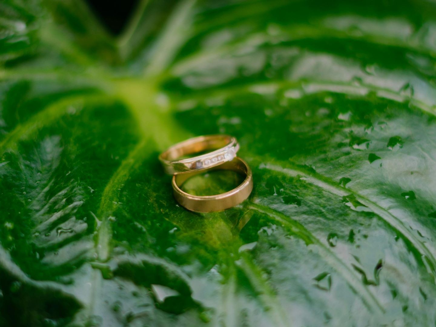 Matters of Life & Death - Covenant Marriage