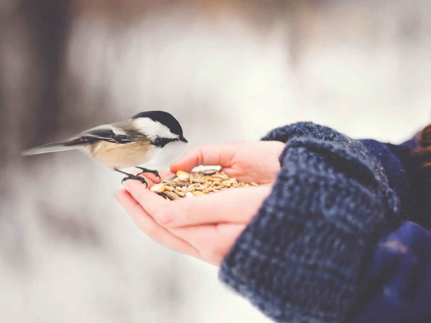 Matters of Life & Death - Covenant Marriage