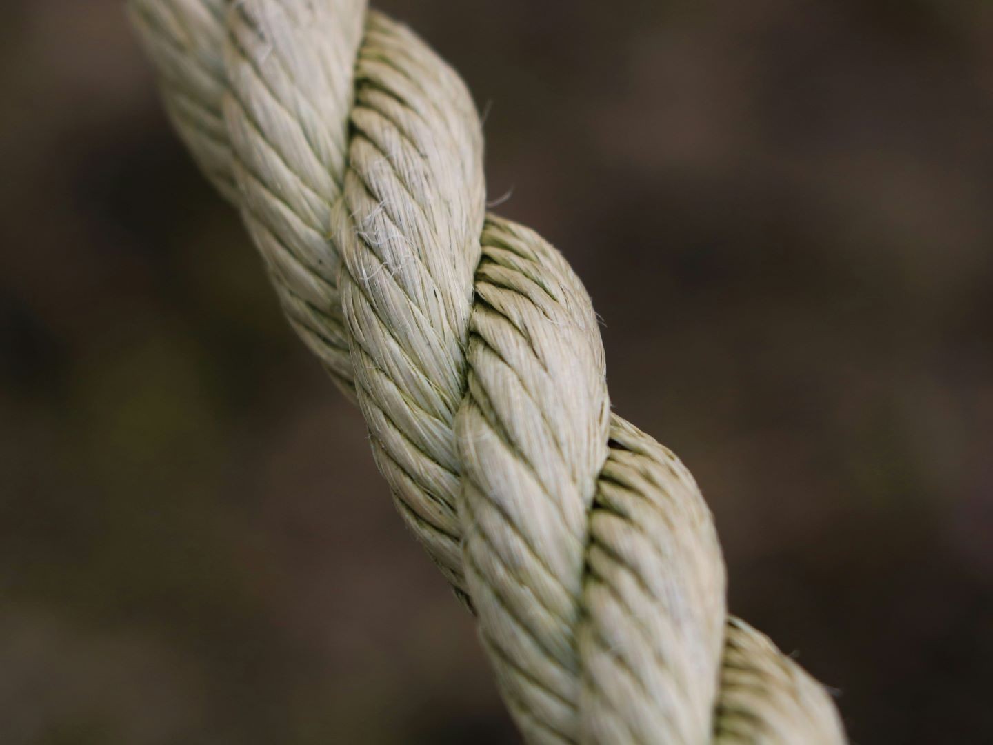 Matters of Life & Death - Covenant Marriage