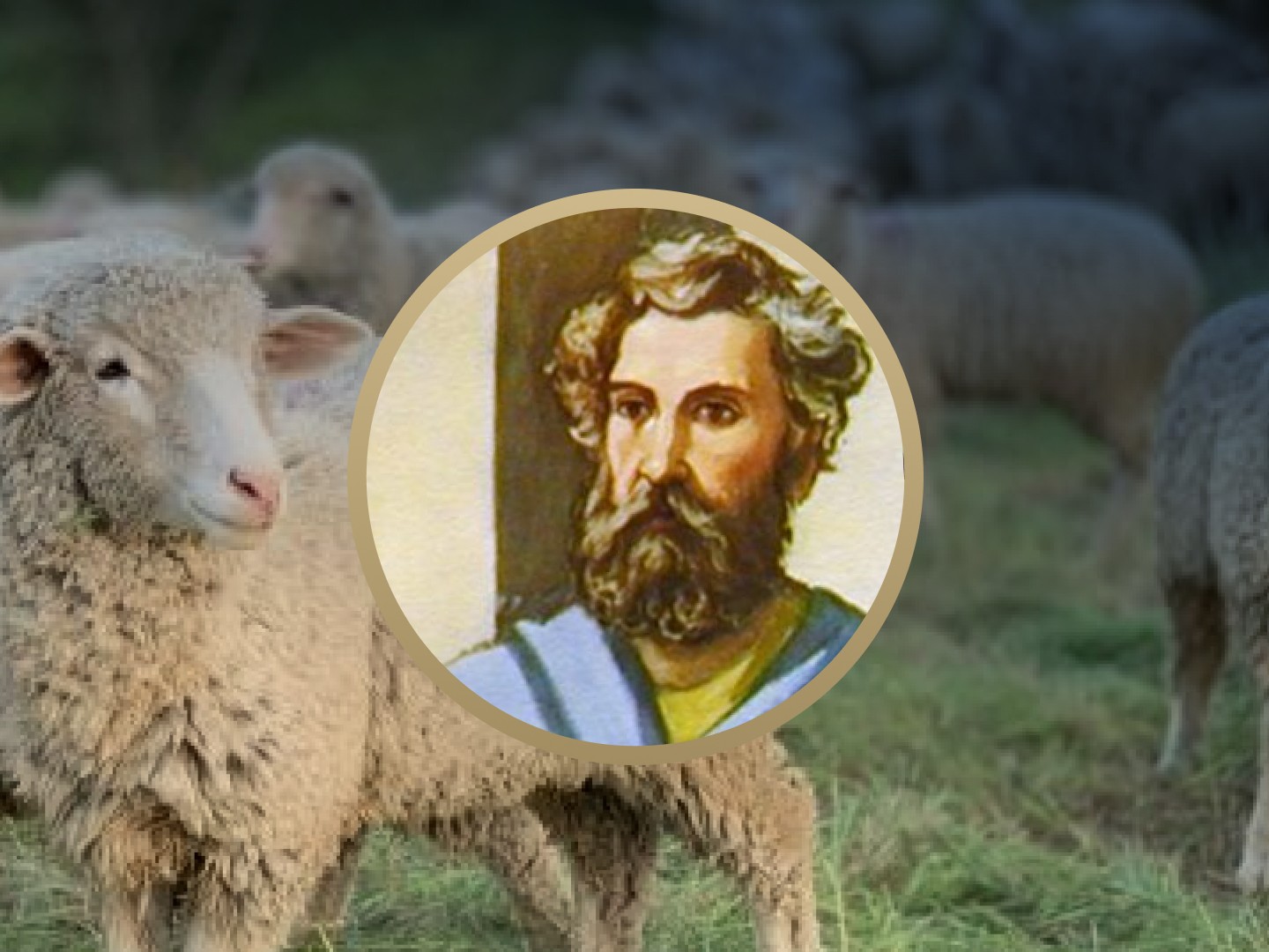 Matter's of Life and Death - Commands of Christ