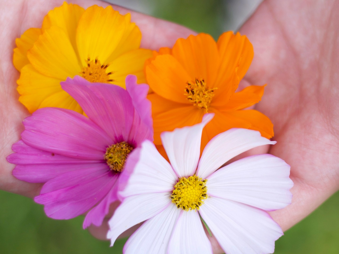 Matters of Life & Death - Covenant Marriage