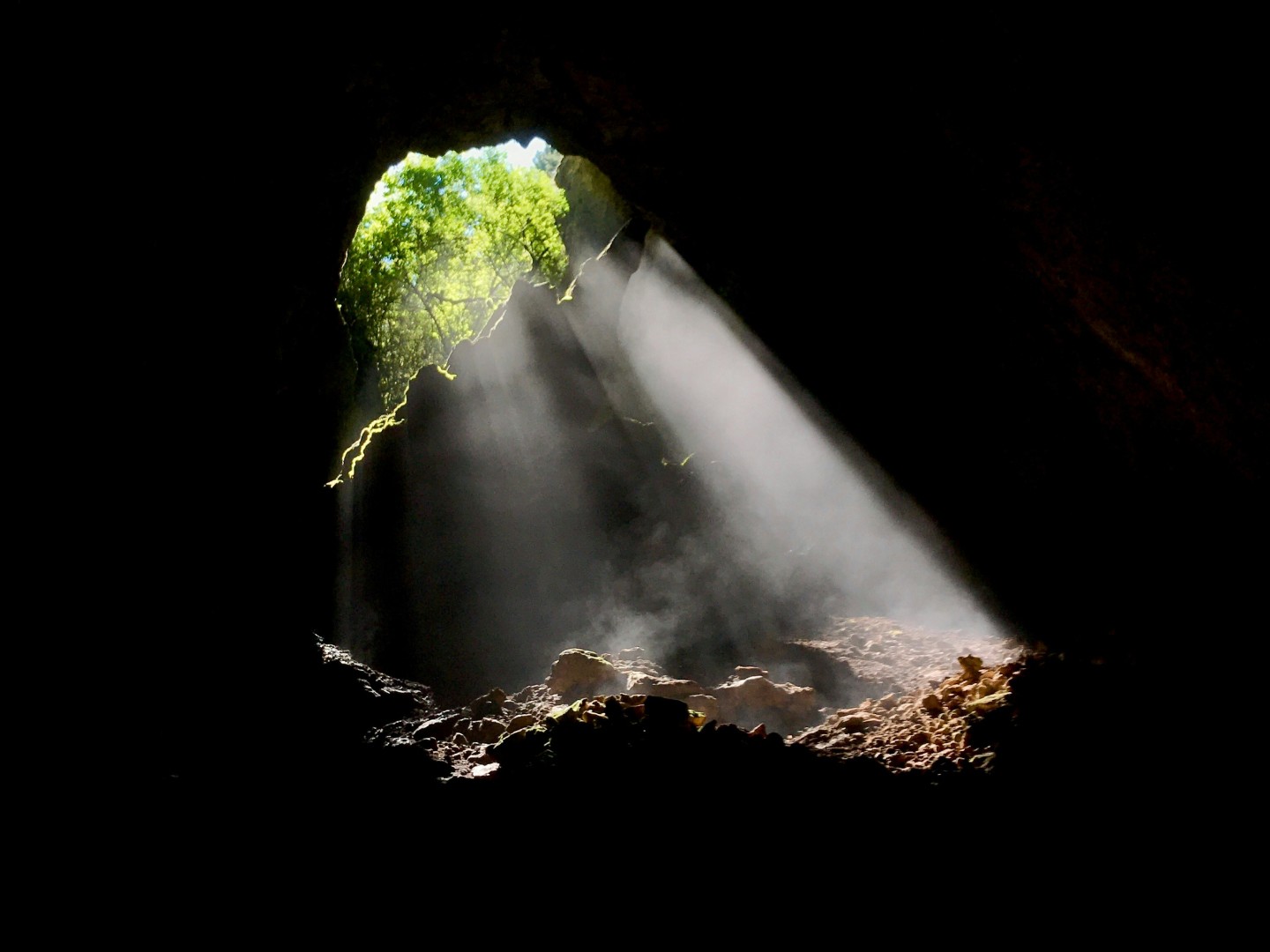 God’s Light in the Prophets