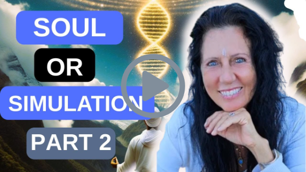 SOUL OR SIMULATION PART 2