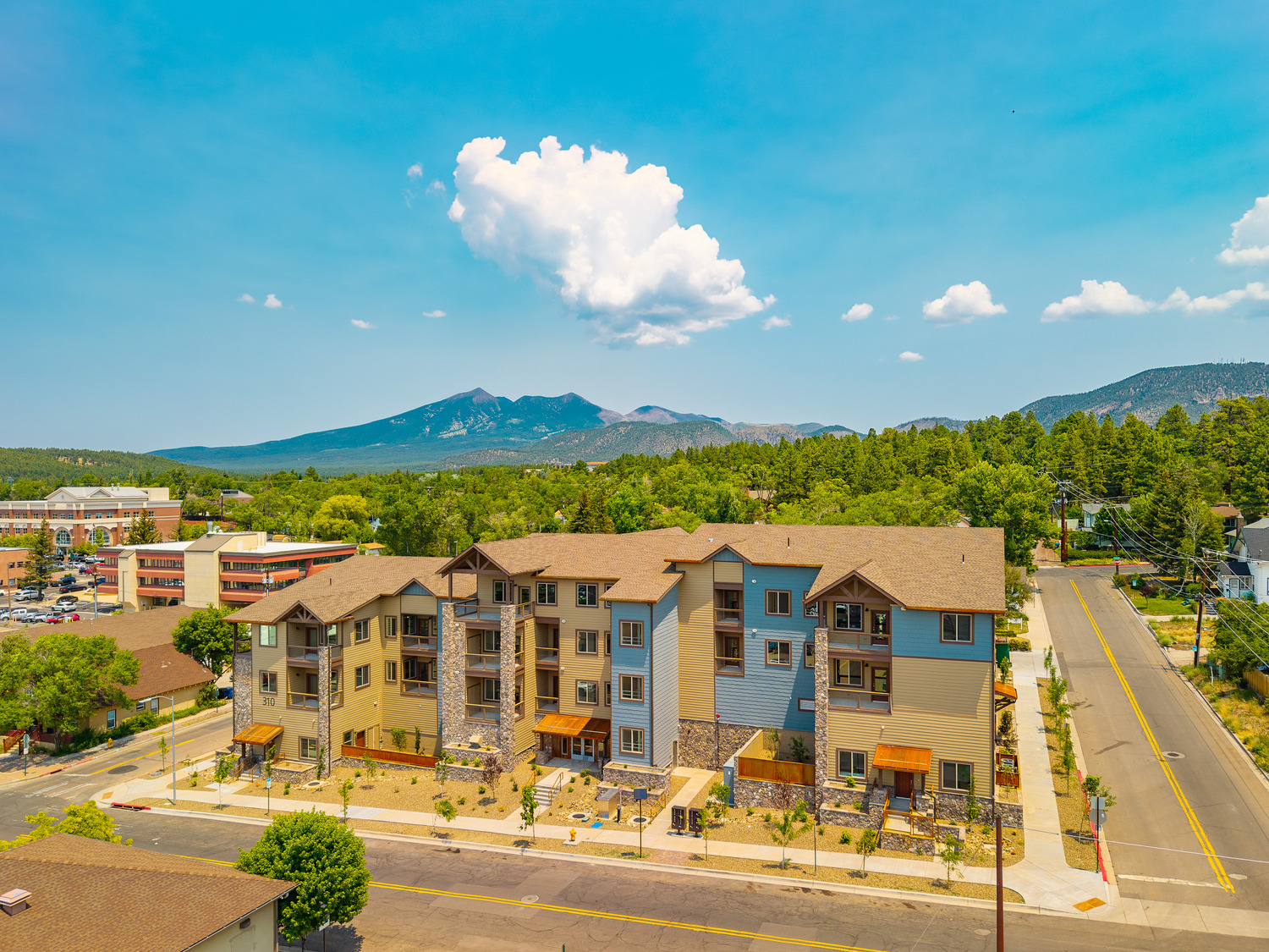 Common.Elements.Image.Web