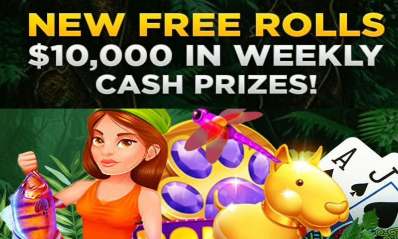 Free Rolls at Wild Casino