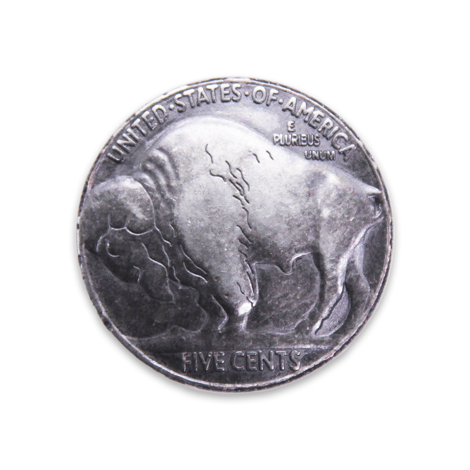 Round Buffalo Coin Line 24 Snap Head