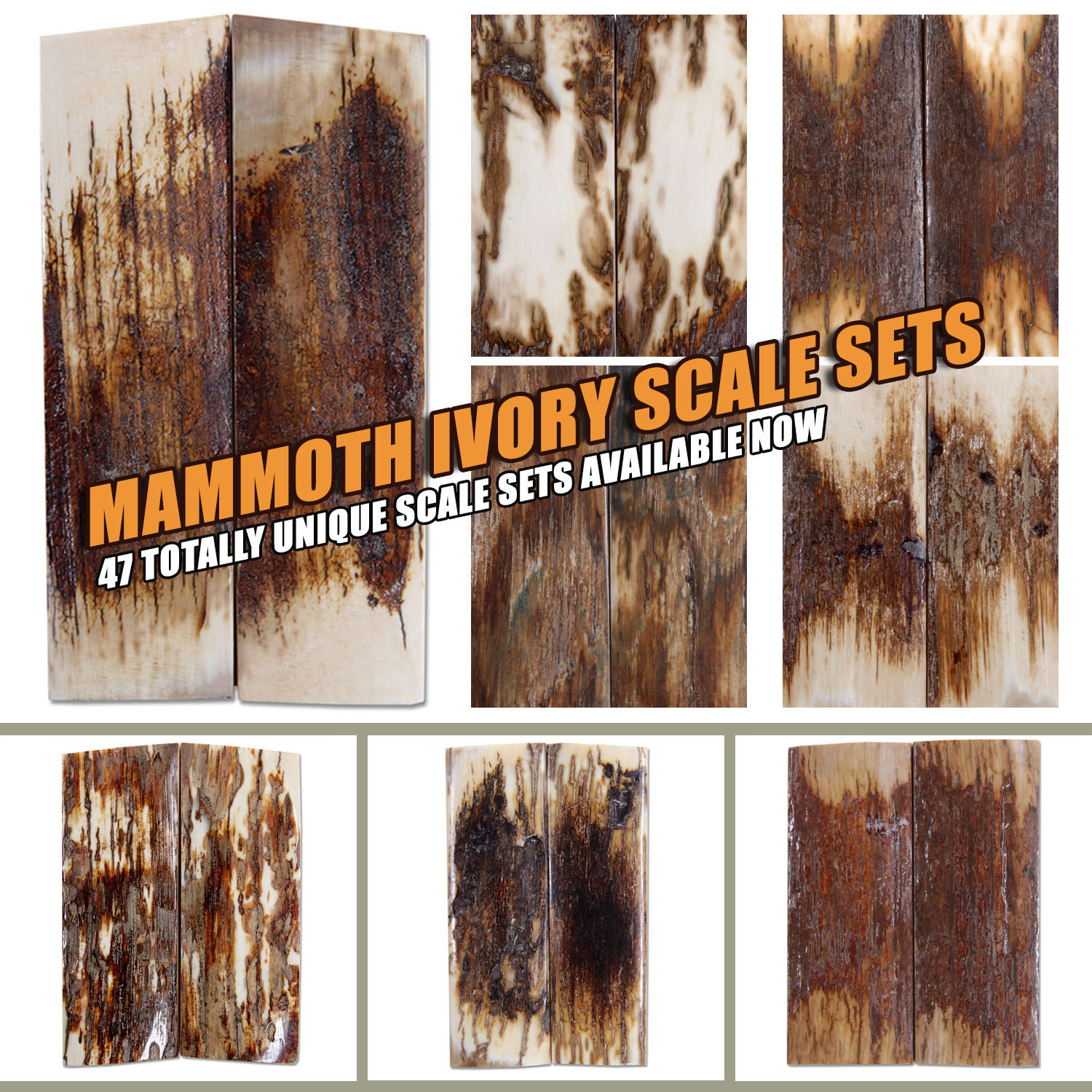 Discover one-of-a-kind Mammoth Ivory scales, a rare and timeless material for your knife and gun handle creations
