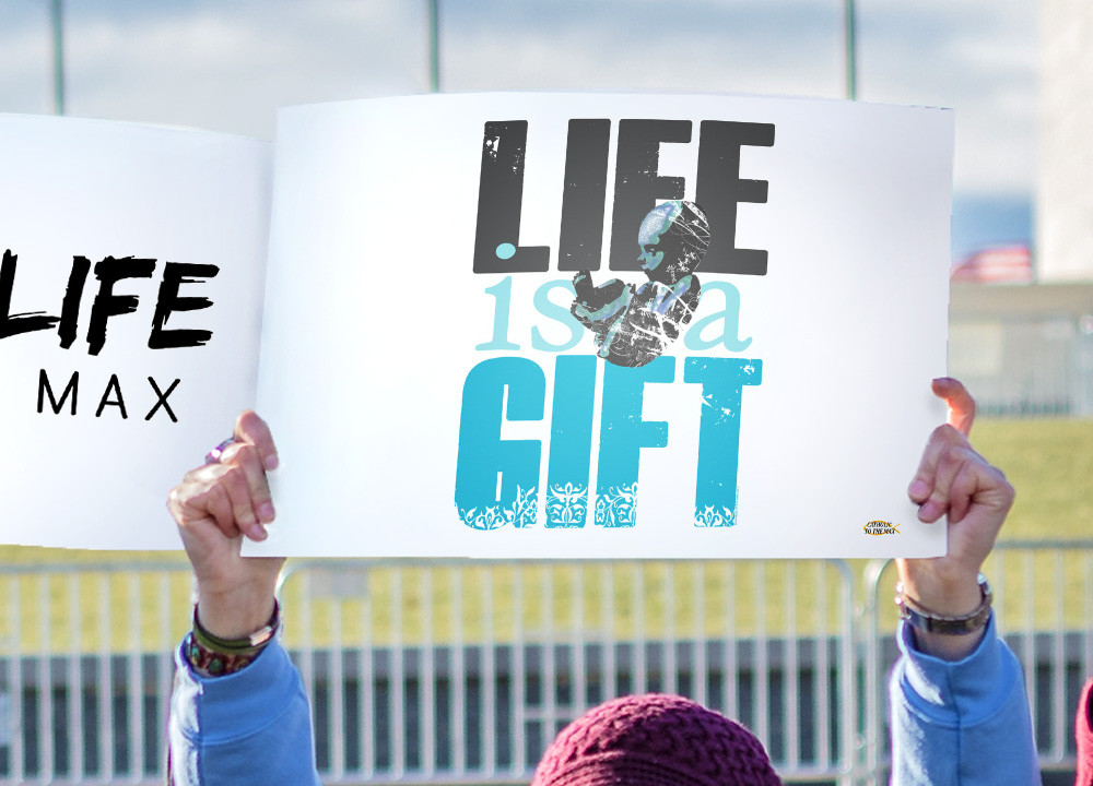 Life is a Gift Pro-Life Waterproof Signs (Pack of 12)