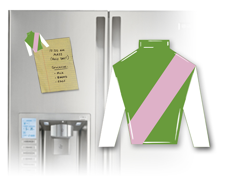 Juddmonte Jockey Silk Magnet