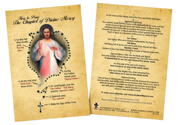 How to Pray the Divine Mercy Chaplet Faith Explained Card