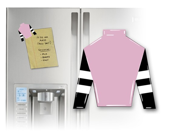 Affirmed Jockey Silk Magnet