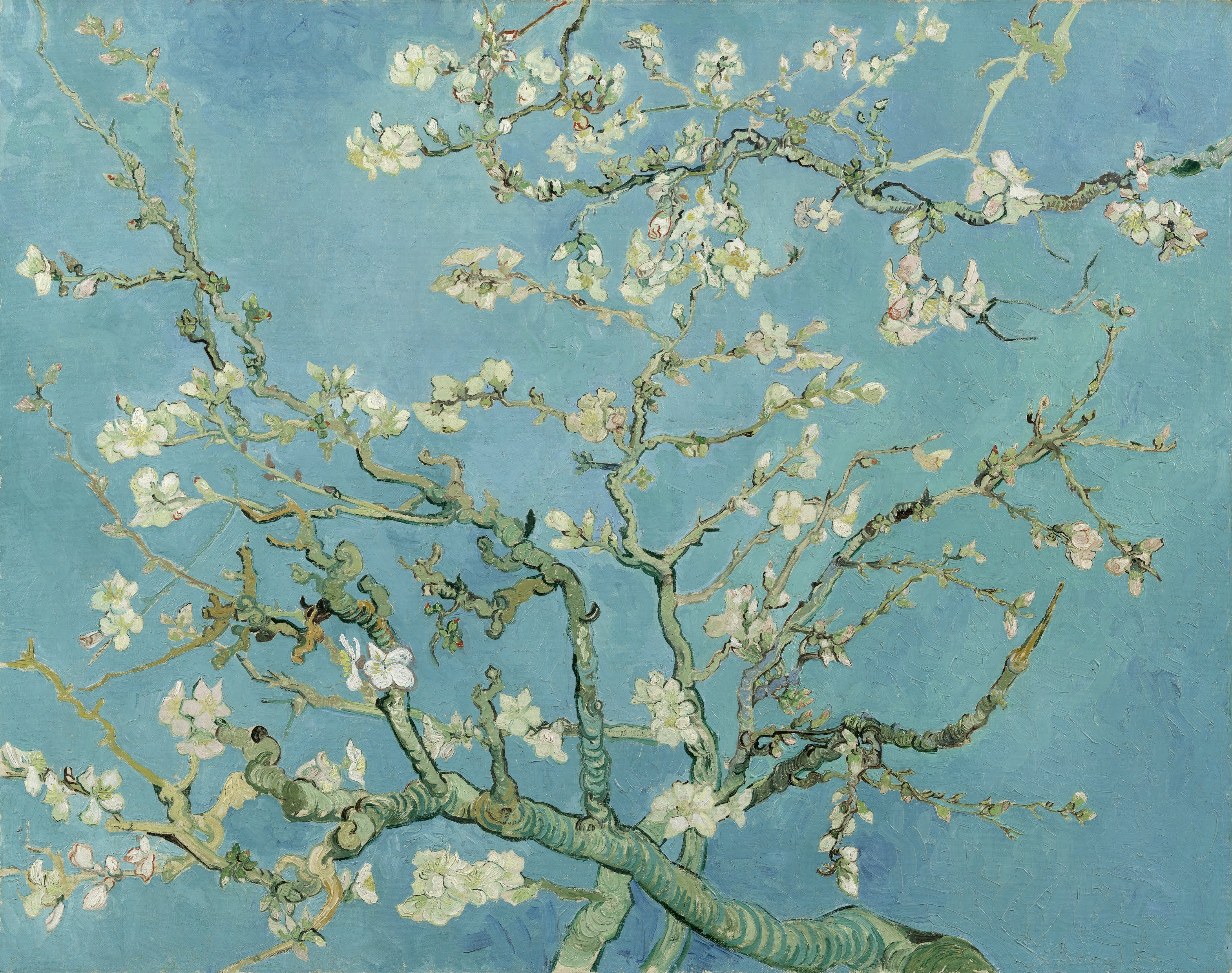 Almond Blossom - Vincent van Gogh