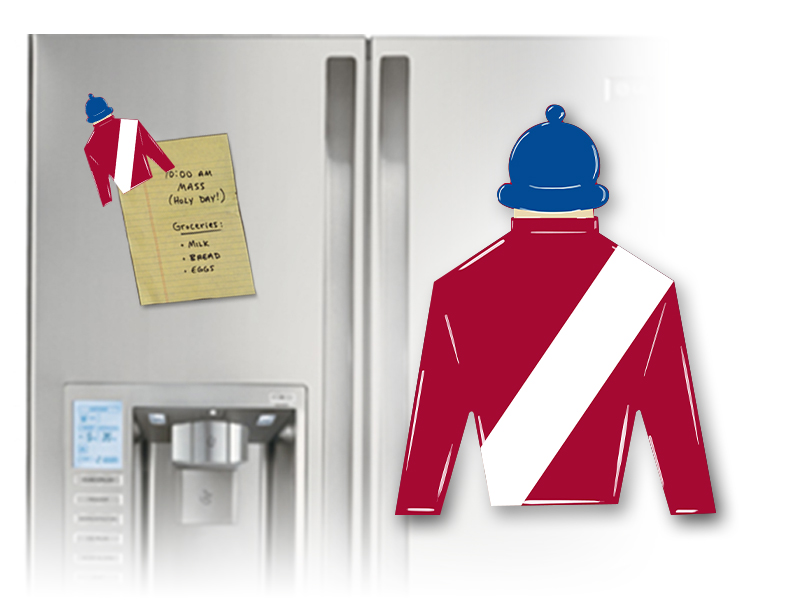 Cheveley Jockey Silk Helmet Magnet