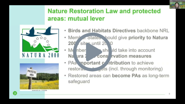 Siggen Seminar 2026 - Online Session: 17 March