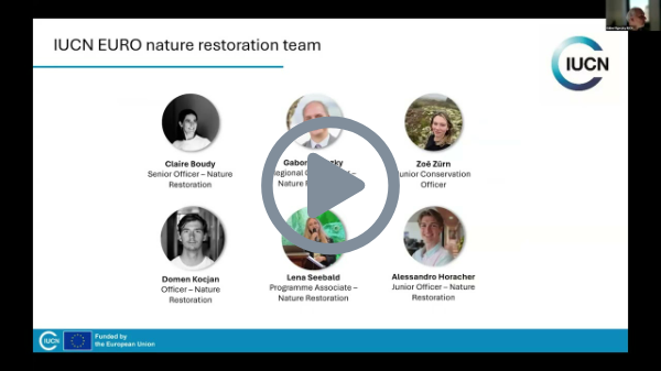 Siggen Seminar 2026 - Online Session:18 March