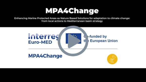 MPA4Change project presentation