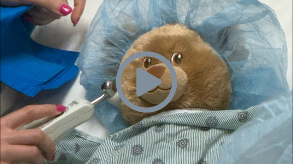 Teddy Bear Clinics with Sara Taylor