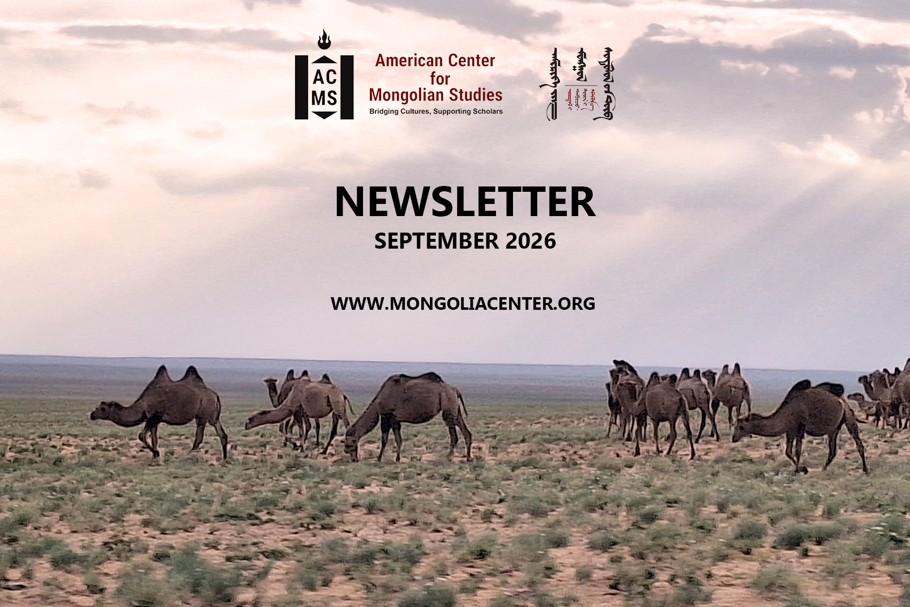 Image of two-humped camels grazing in the semi-desert with the words “American Center for Mongolian Studies Newsletter: September 2026“ imposed over top of the image along with the web address www.mongoliacenter.org.