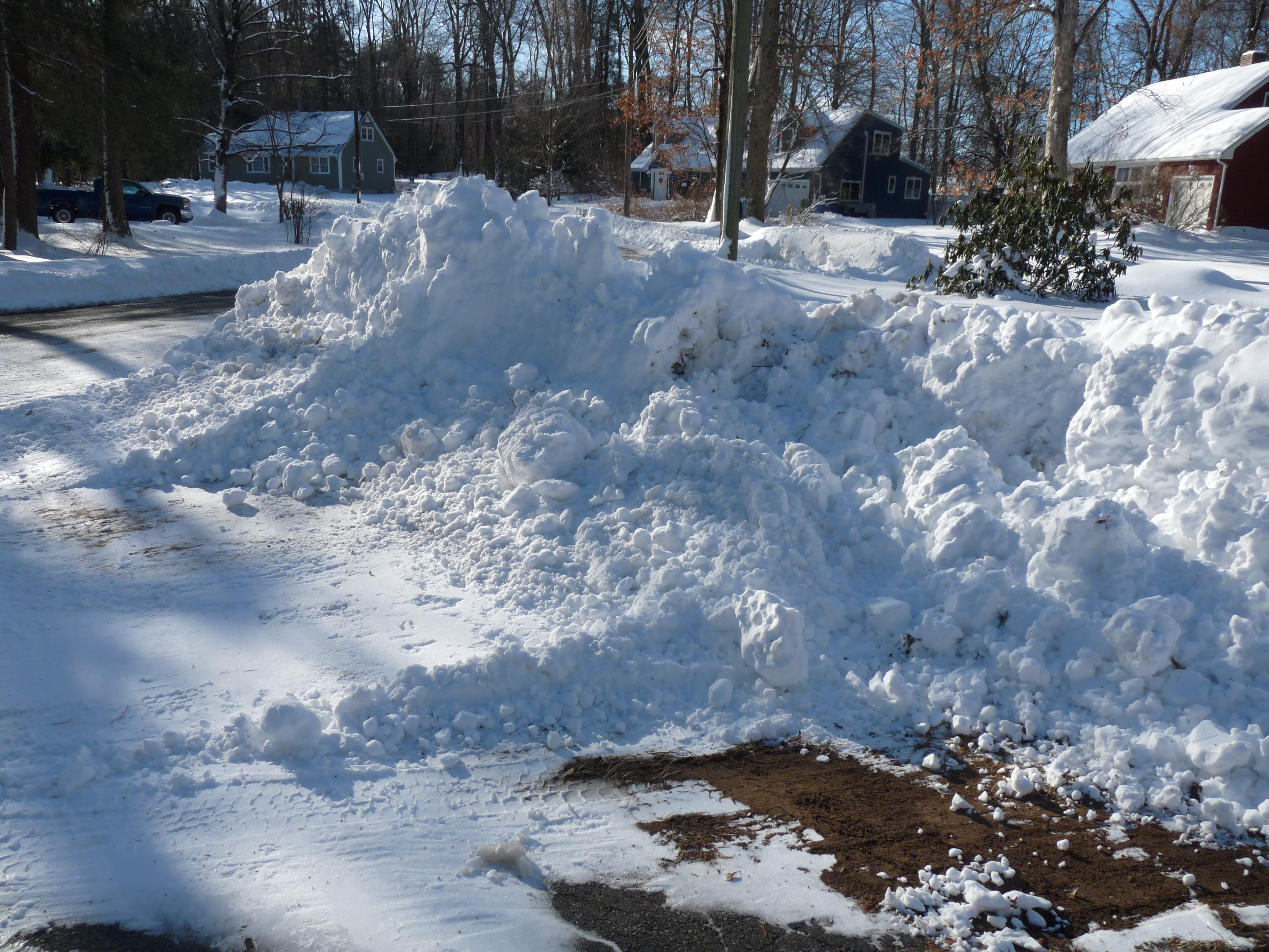 Living Empathically with an Open Heart