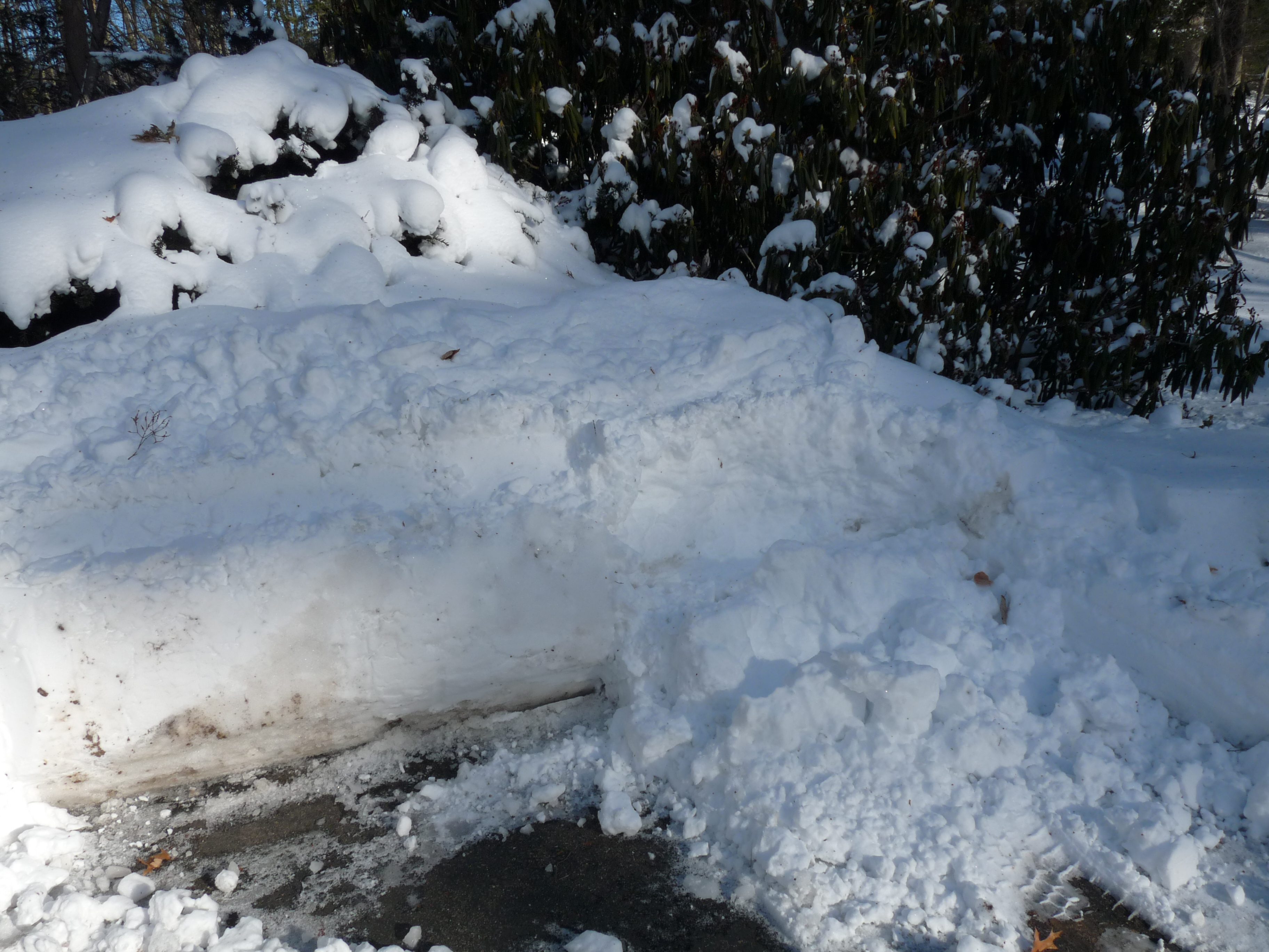 Snow plowed onto my lawn.