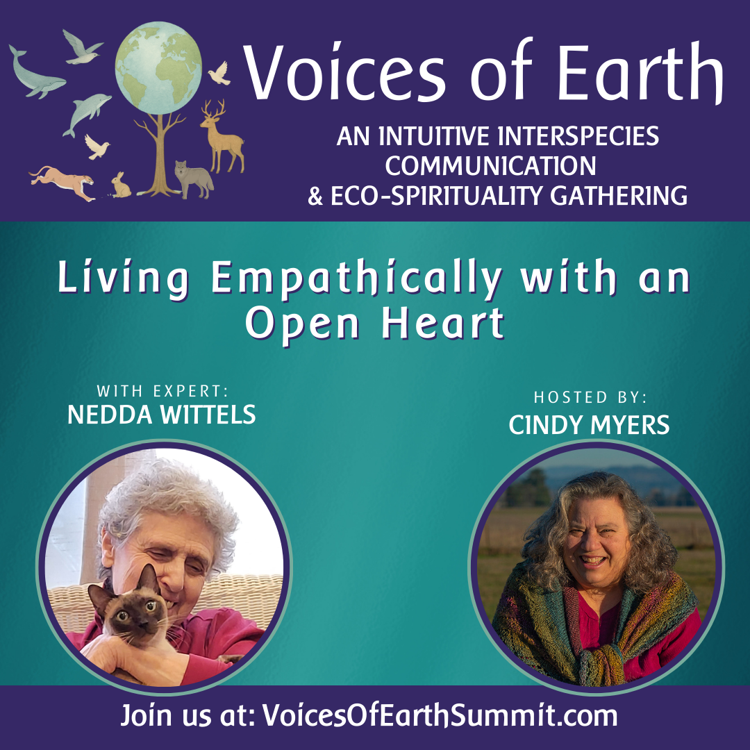 Living Empathically with an Open Heart
