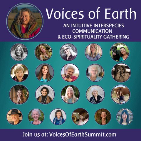 Living Empathically with an Open Heart