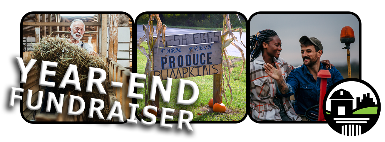 FTCLDF summer fundraiser image