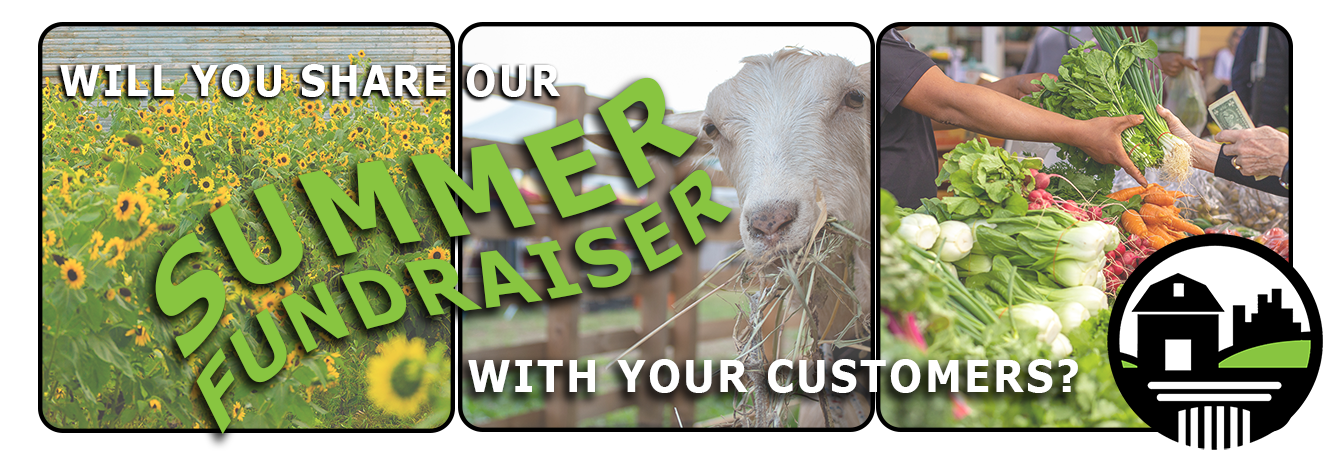 FTCLDF summer fundraiser image