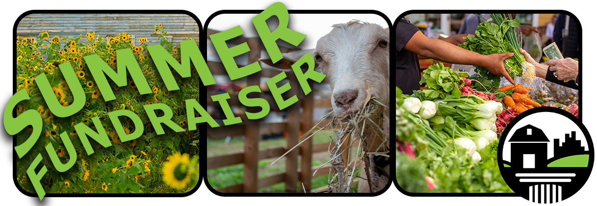FTCLDF summer fundraiser image