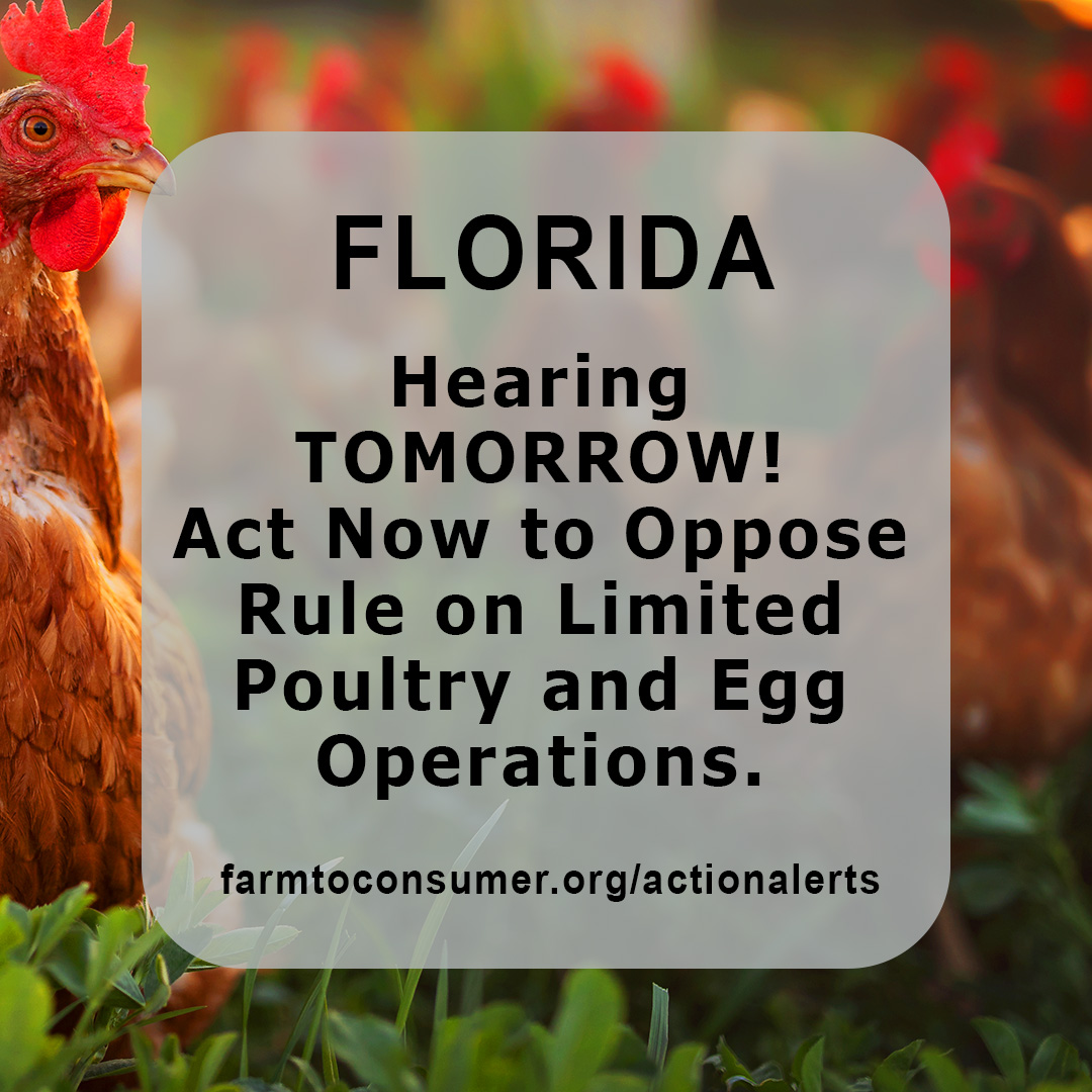 FL July 10 hearing on egg and poultry operation regulations