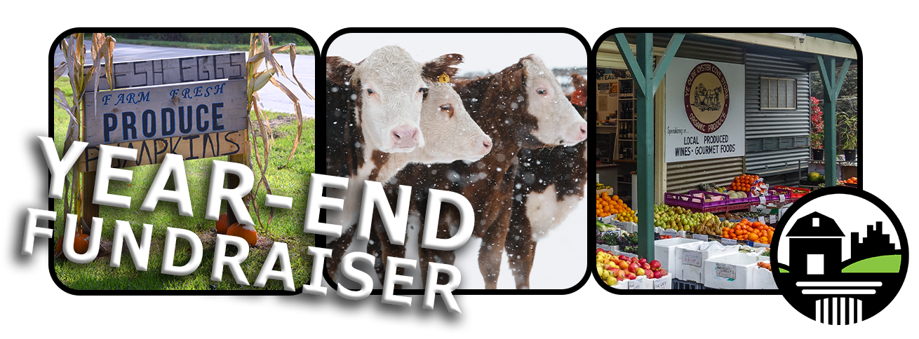 FTCLDF year end fundraiser image