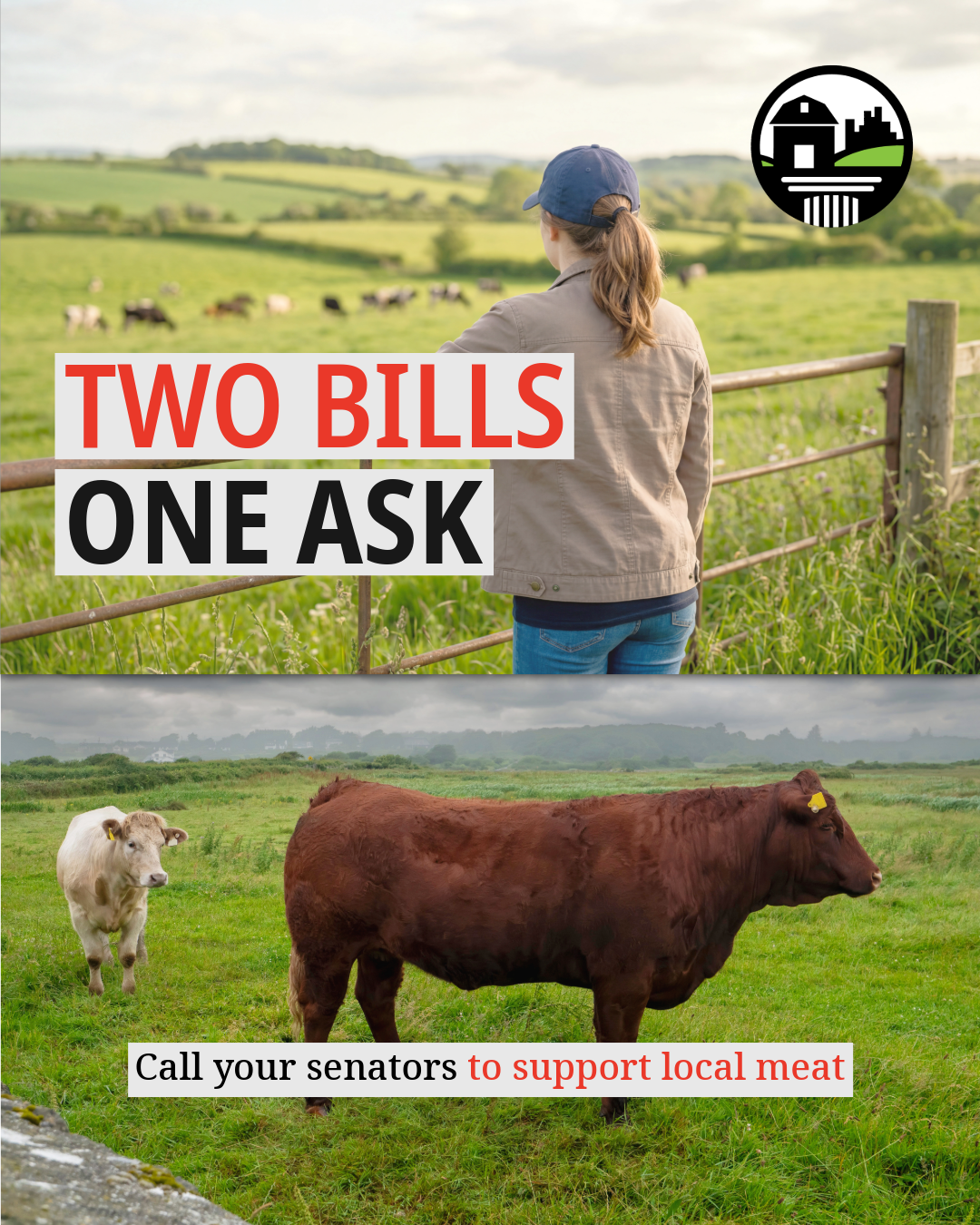 Meat Processing Bills
