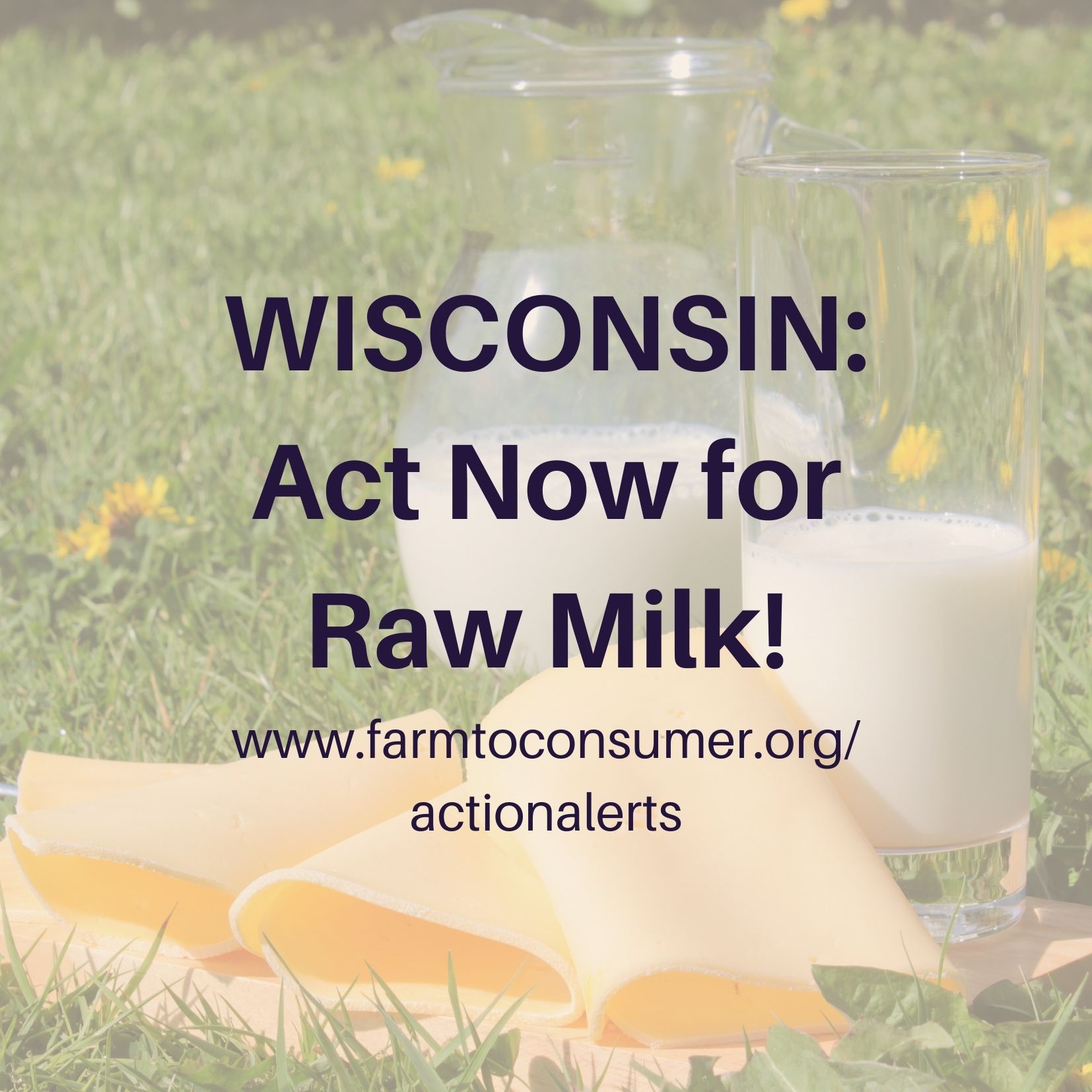 Raw Milk Action Alert in WI