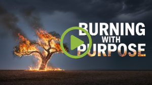 How One Person Can Change Everything