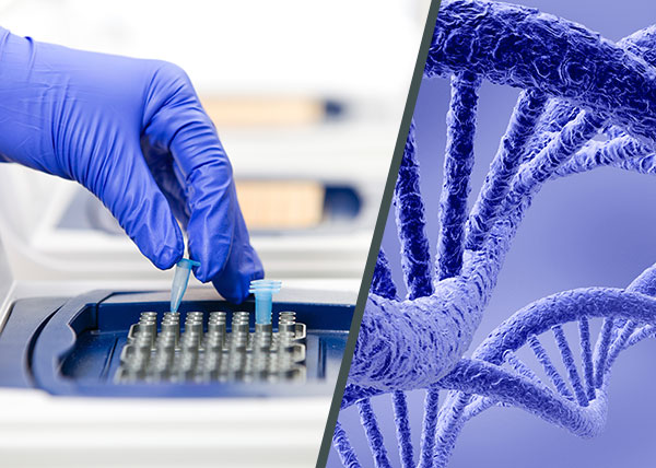 Photo of a hand setting tubes in a pcr and DNA